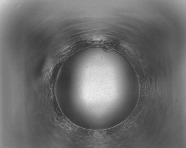 X0000060231013200510311542