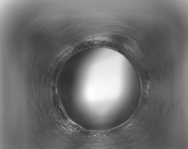 X0000060231014200510311542