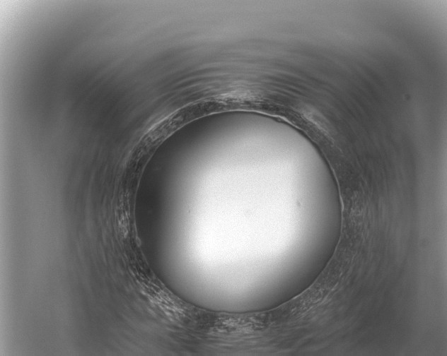 X0000060231015200510311542