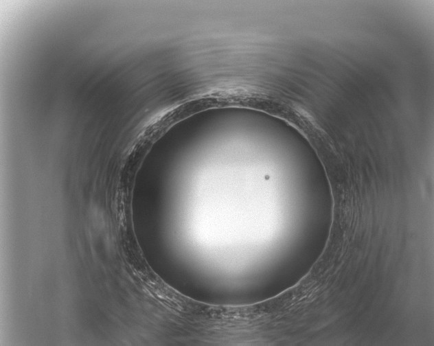 X0000060231016200510311542