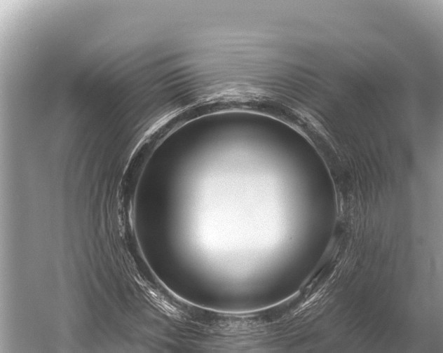 X0000060231018200510311542