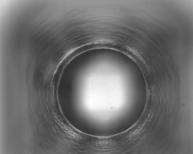 X0000060231021200510311542