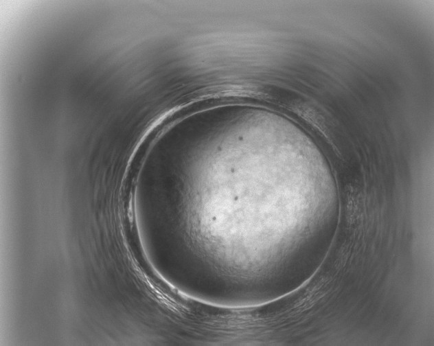 X0000060231024200510311542