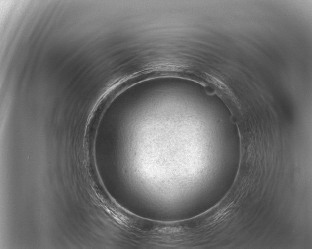 X0000060231027200510311542