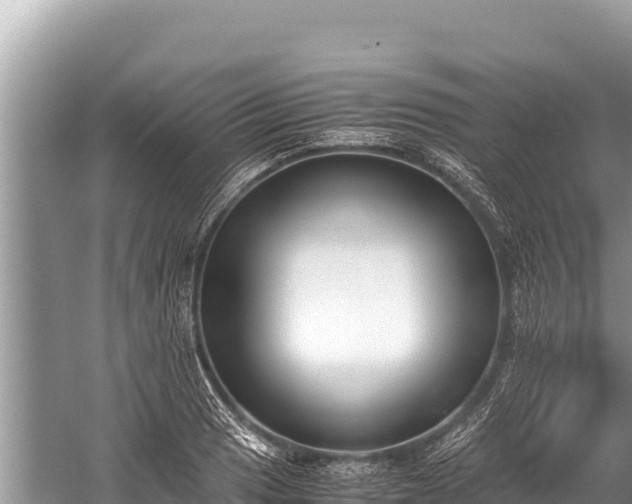 X0000060231033200510311542