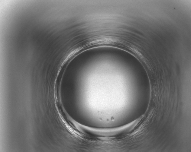 X0000060231034200510311542