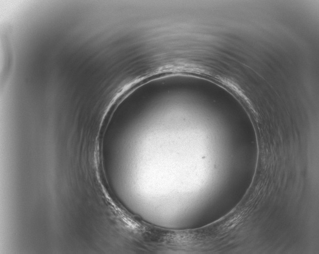 X0000060231040200510311542