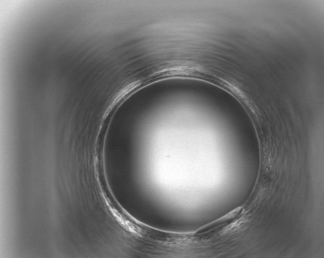 X0000060231042200510311542