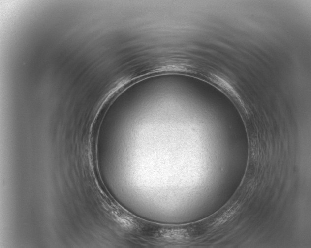 X0000060231043200510311542