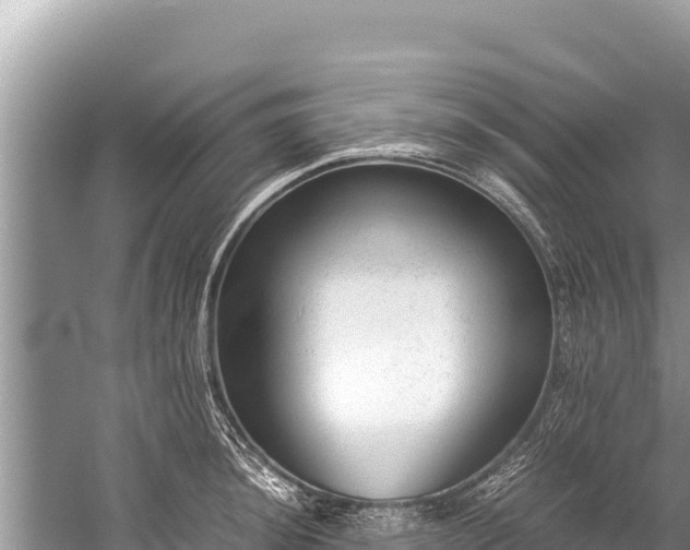 X0000060231044200510311542