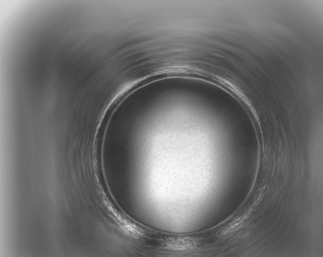 X0000060231045200510311542