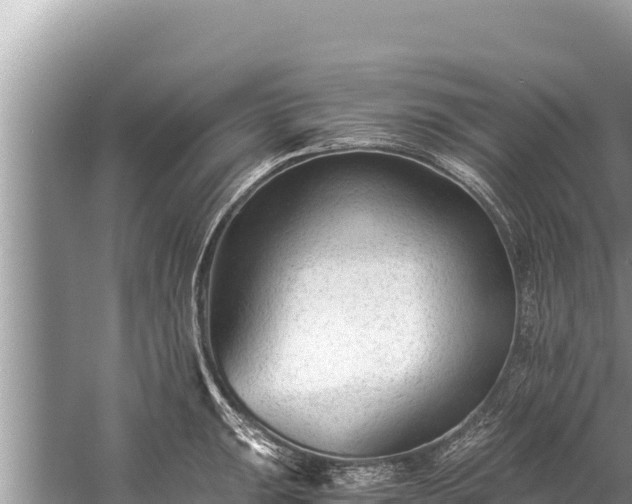 X0000060231047200510311542