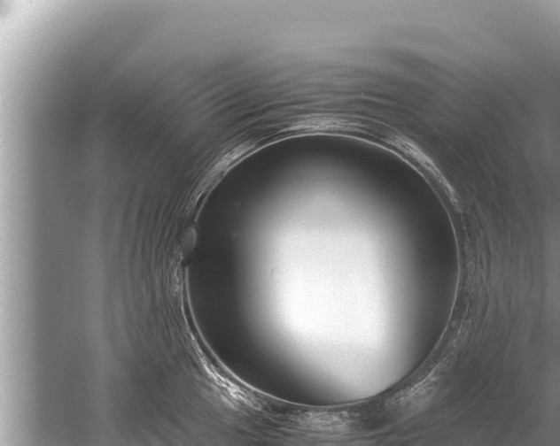 X0000060231049200510311542