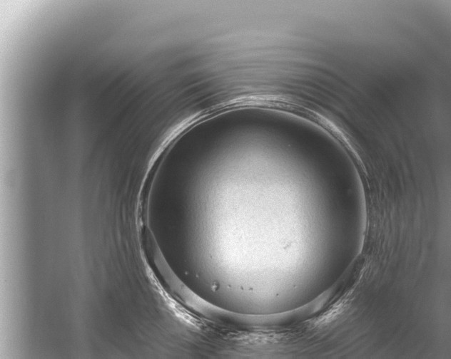 X0000060231050200510311542