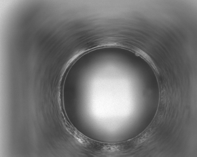 X0000060231051200510311542