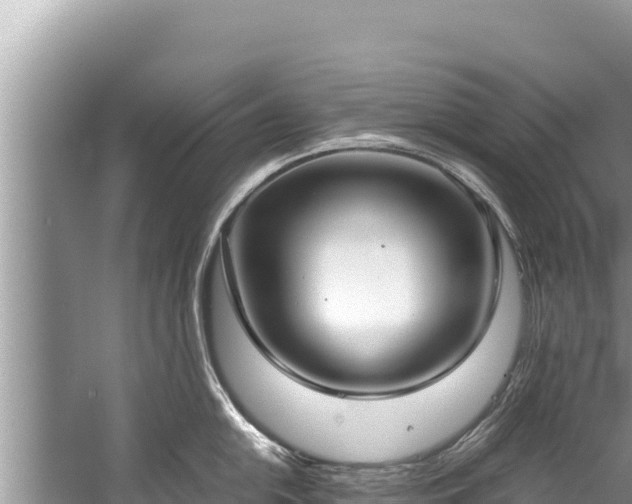 X0000060231054200510311542