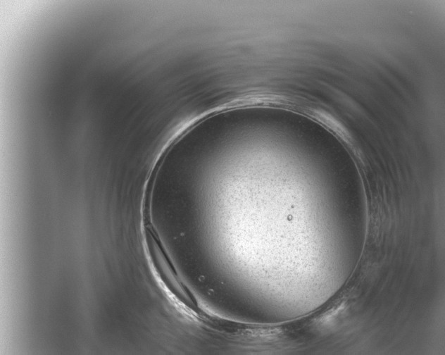 X0000060231055200510311542