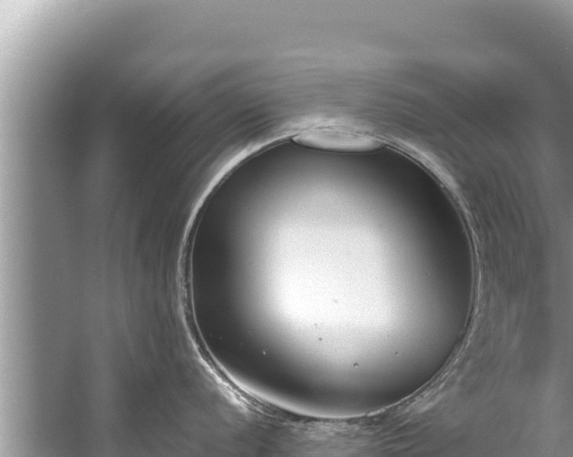 X0000060231056200510311542