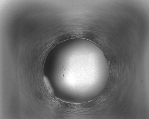 X0000060231057200510311542