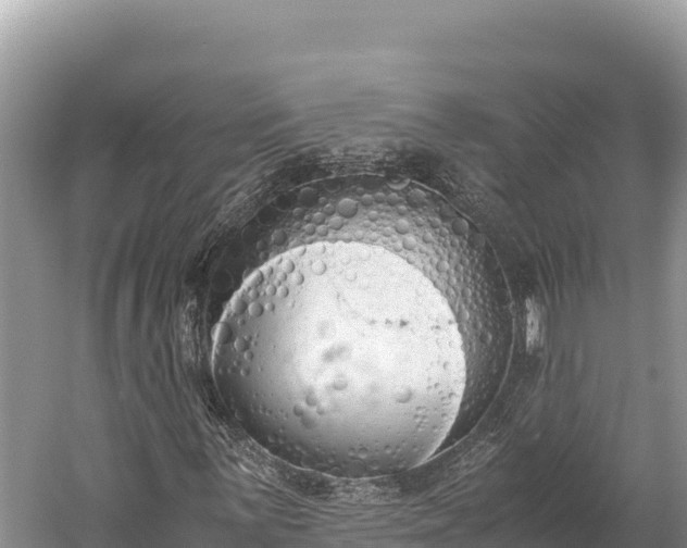 X0000060231059200510311542