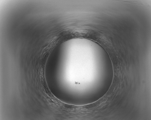 X0000060231061200510311541