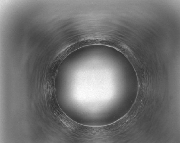 X0000060231064200510311541