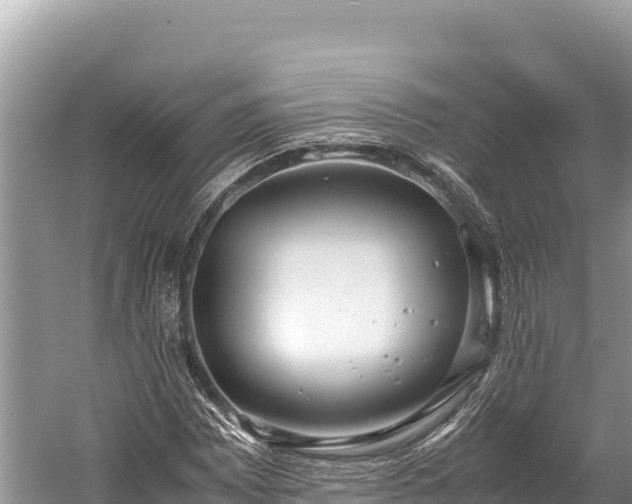 X0000060231065200510311541