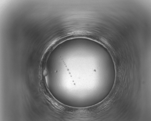 X0000060231067200510311541