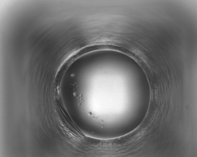 X0000060231069200510311541