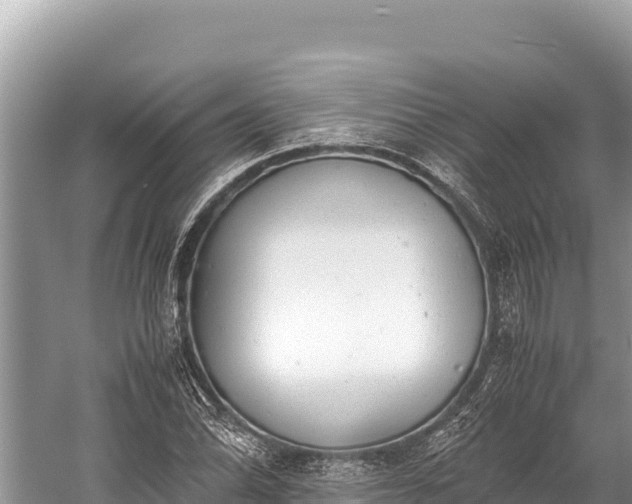 X0000060231070200510311541