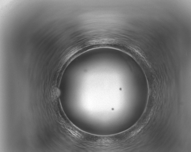 X0000060231073200510311541