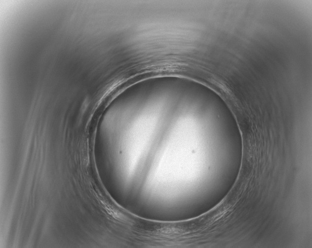 X0000060231075200510311541