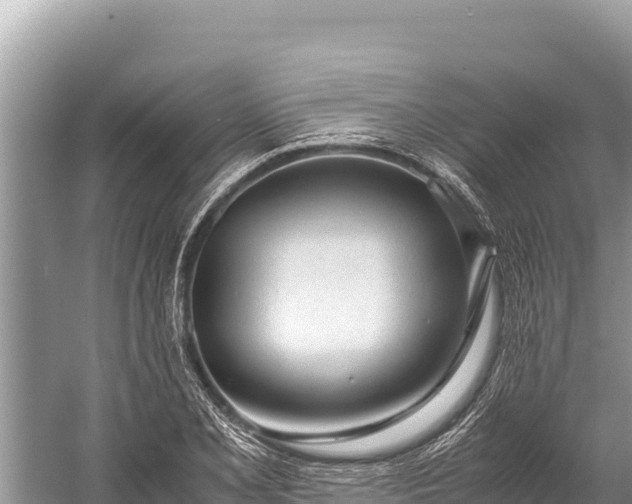 X0000060231077200510311541