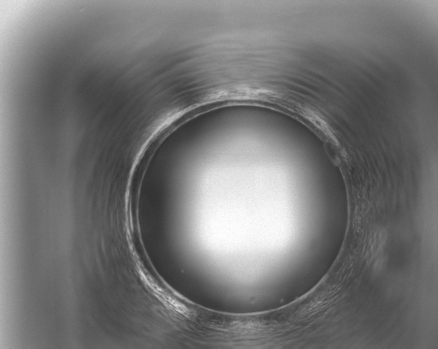 X0000060231080200510311541