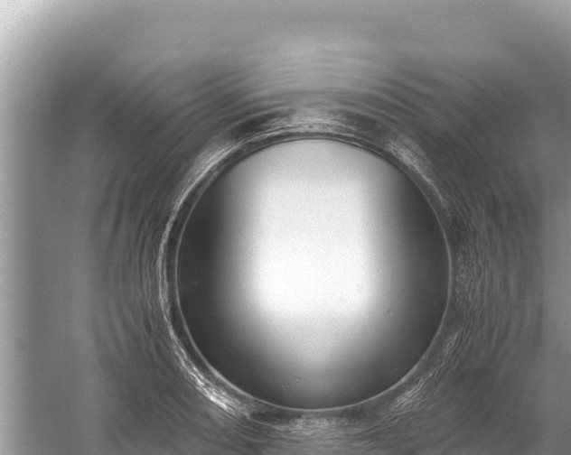 X0000060231082200510311541