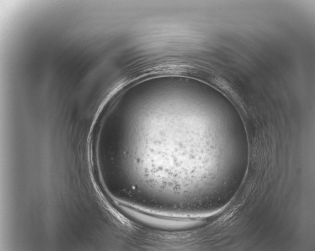 X0000060231083200510311541