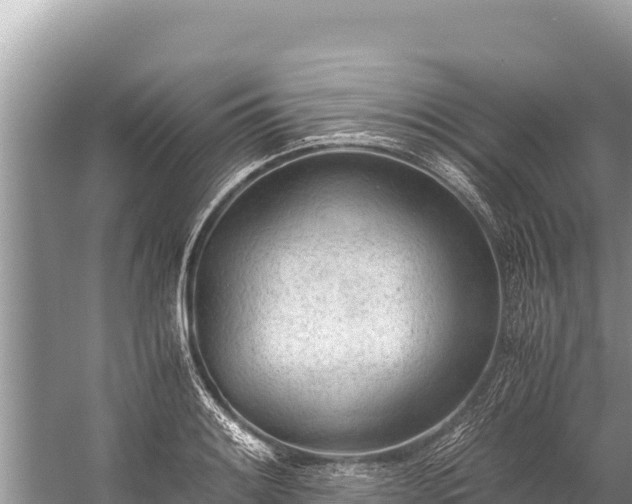 X0000060231084200510311541