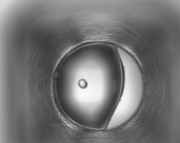 X0000060231085200510311541