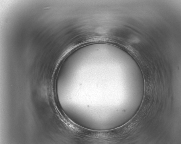 X0000060231086200510311541