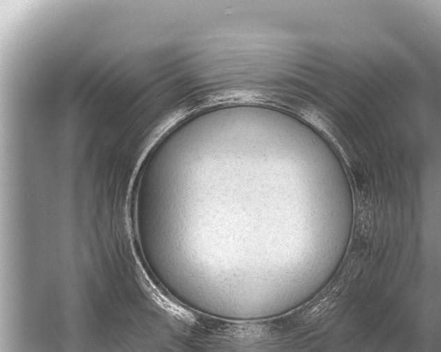 X0000060231090200510311541