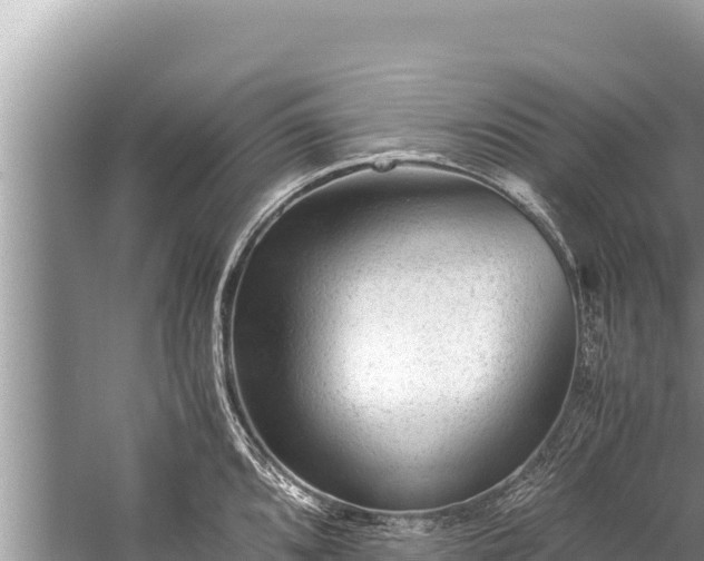 X0000060231096200510311541