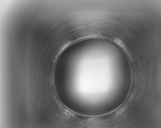 X0000060231097200510311541