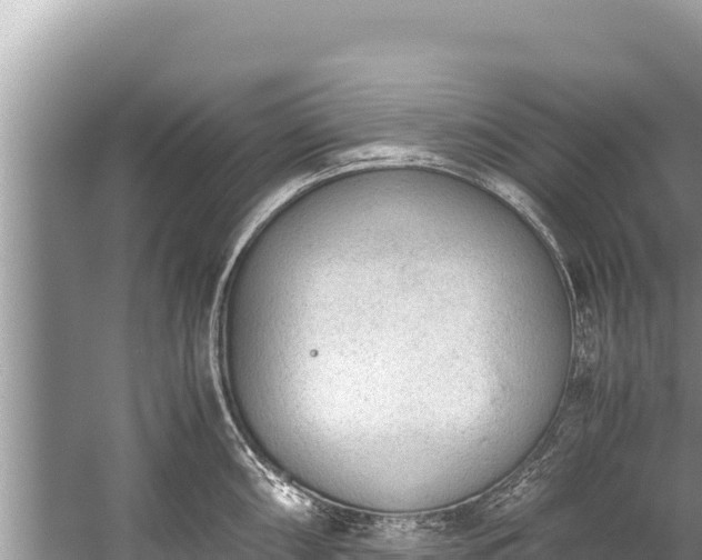 X0000060231098200510311541