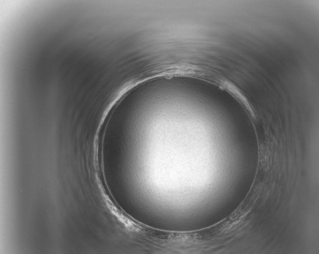 X0000060231099200510311541