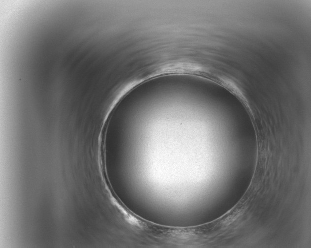 X0000060231103200510311541