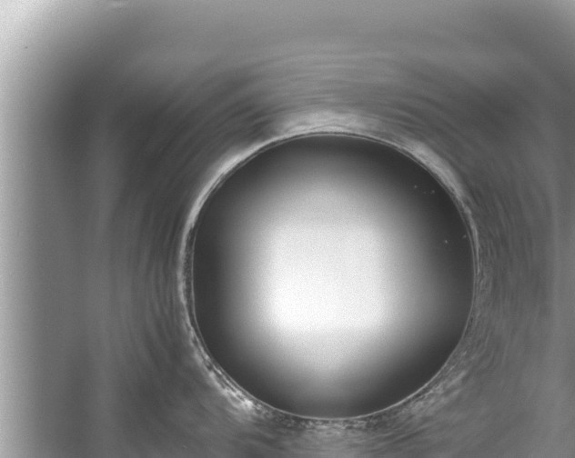 X0000060231104200510311541