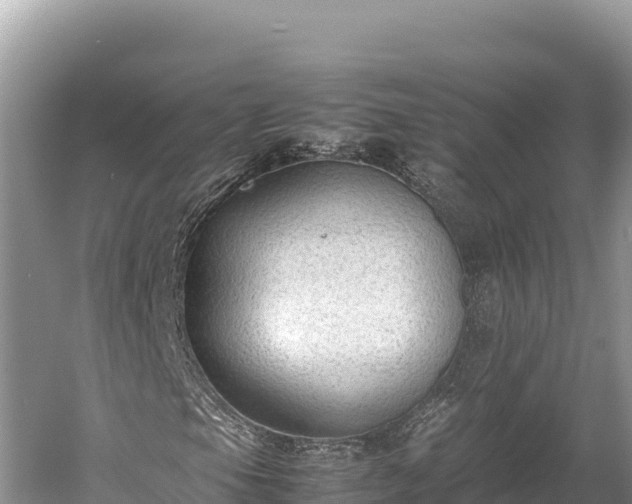 X0000060231105200510311540