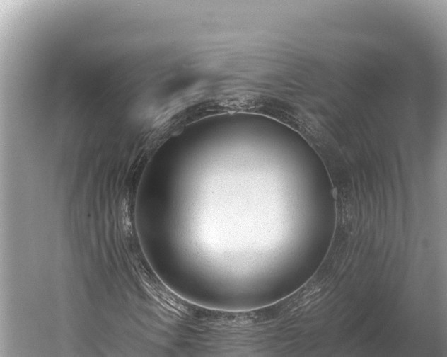 X0000060231106200510311540