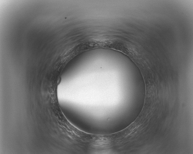 X0000060231109200510311540