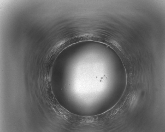 X0000060231111200510311540